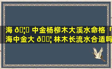 海 🦟 中金杨柳木大溪水命格「海中金大 🐦 林木长流水合适吗」